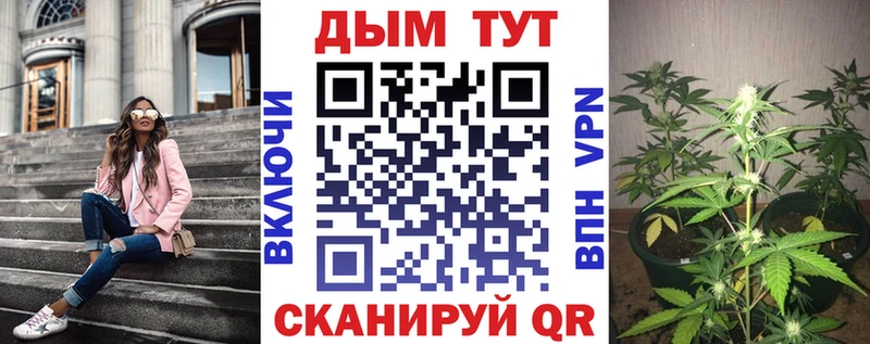 Бошки марихуана MAZAR Новочеркасск